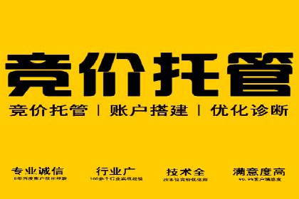 某电商平台的SEM竞价专员成功案例分享